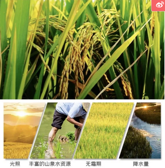 1659081358602569.png QQ截圖20220729155542.png